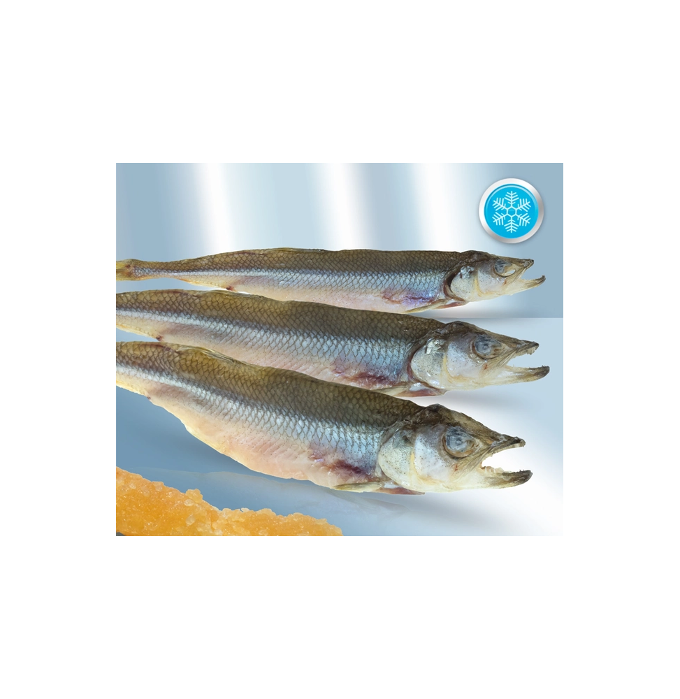 Corvina curada, sin eviscerar (10-15 cm)